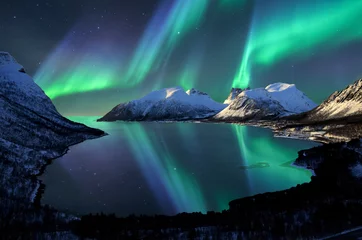 Peel and stick wall murals Northern Lights Norway