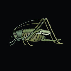 Grasshopper embroidery. Insect embroidery. Vector vintage decorative element for embroidery, patches and stickers