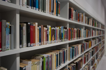 Books on library shelves