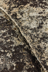 Closeup of granite covered in black lichen in California's high sierra