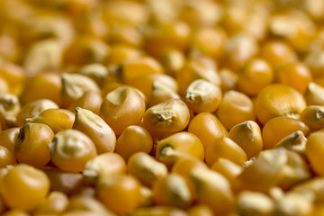 Kernels of popcorn
