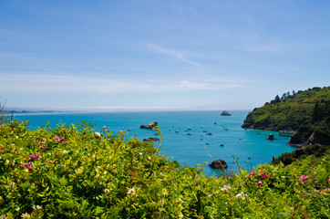 Trinidad Bay California