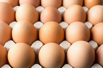 Raw chicken eggs in cardboard box