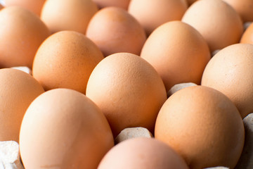 Bunch of chicken eggs in cardboard box