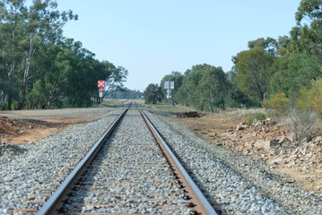Obraz premium a straight stretch of railway line with a rail crossing and tree
