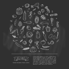 Hand drawn doodle seasonal vegetables icons set. Vector illustration. Carton food symbols collection. Isolated on white background. Sketchy style: tomato, potato, cabbage, squash, pepper, corn, carrot