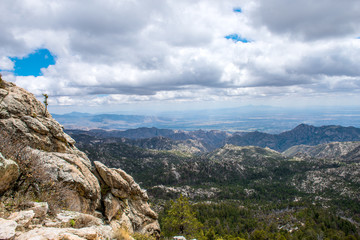 Mt Lemmon