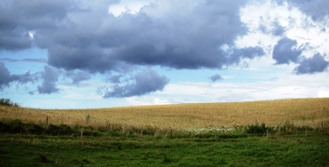 Fototapeta na wymiar cloudy fields