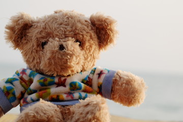 Close up teddy bears.