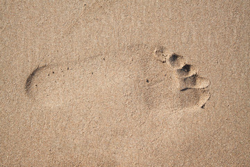 Footprints in the sand