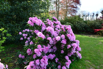 グランビガール城