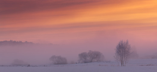 Winter landscape in red and pink tones