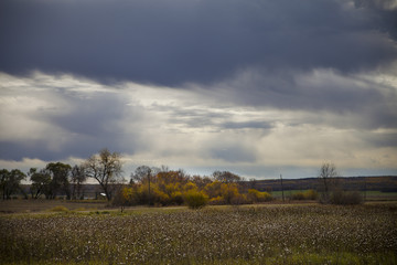 Beautiful Prairie Views