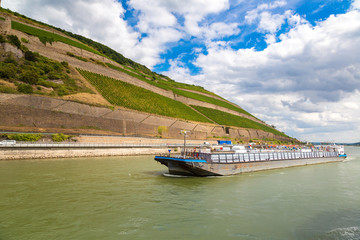 Fototapeta premium Romantic Rhine valley in Germany