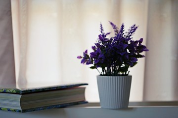 Flower vase on window soft focus background. vintage flower vase and curtain background