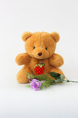 Bear brown and purple roses on a white background.