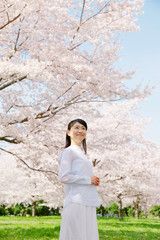 女性　桜