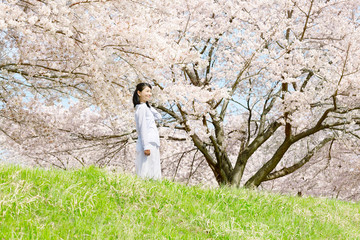 Obraz premium 女性 桜