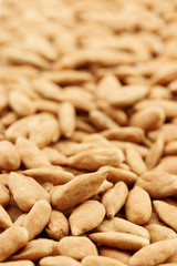 roasted sunflower seeds background