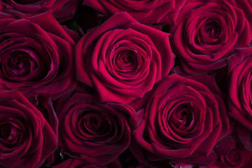 Valentines day theme