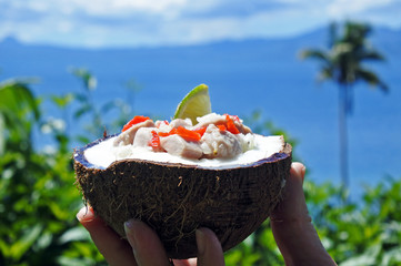 Fijian Food Kokoda  against Tropical Island landscape