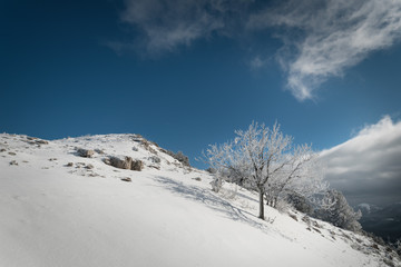 Fototapeta na wymiar Snow-covered trees on the hillside against a blue sky with cloud