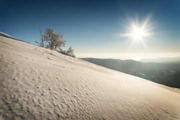 Snow-covered trees on mountain slope against the blue sky with t
