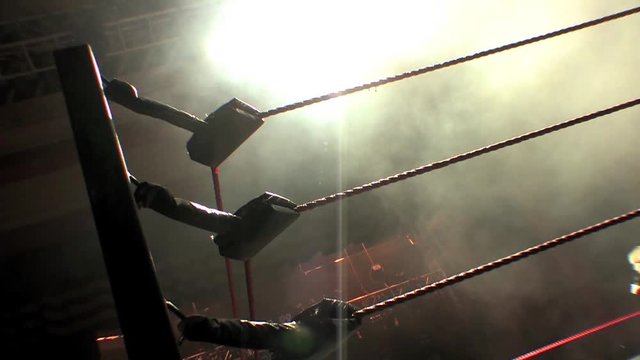 Professional Wrestling / Boxing Ring Ropes Lit up with Stage Lights