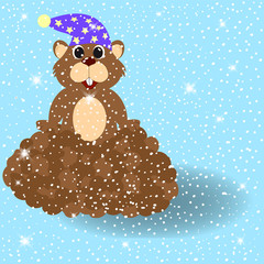 Groundhog with shadow on snowy background