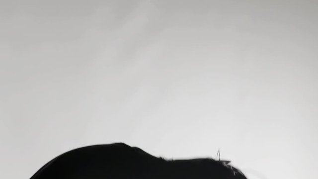 Silhouette Figure Head Banging (slow motion) to Music  2