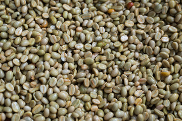 Green coffee bean after pulping hulling and cleaning