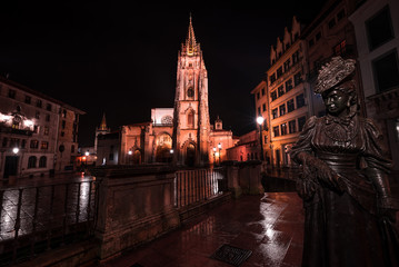 Fototapeta na wymiar The Oviedo Cathedral