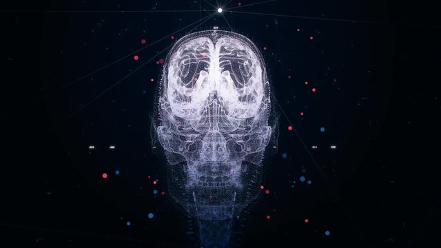 Digital animation of glowing human skull rotating against dark background