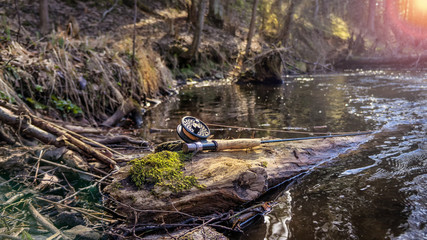 Fly rod on a tree in a beautiful forest river.