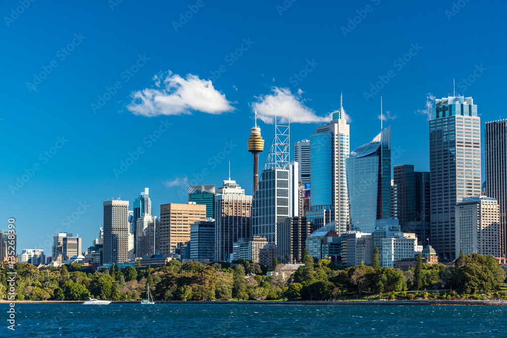 Wall mural Sydney skyline with Sydney Harbour and white yachts