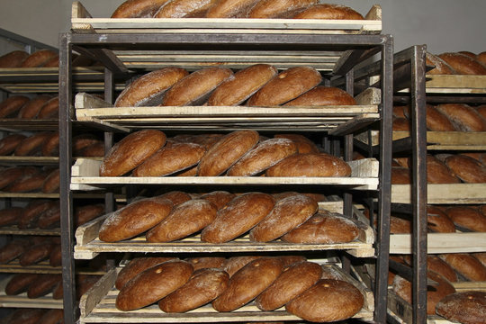 Rye bread on shelves