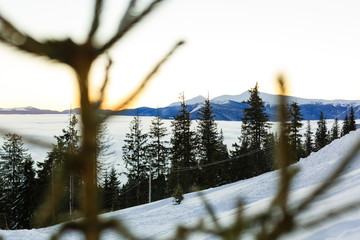 Winter rime and snow covered fir Christmas trees on mountainside
