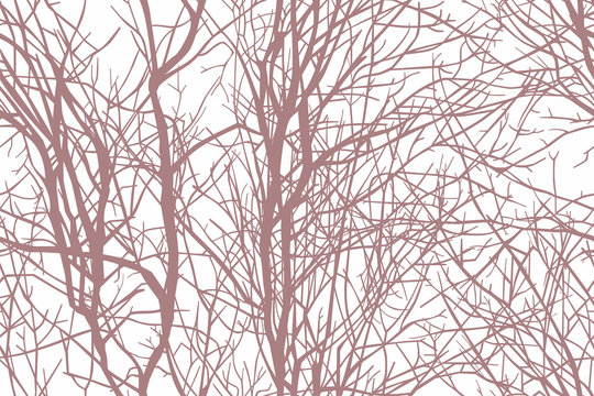 Tree branches seamless background