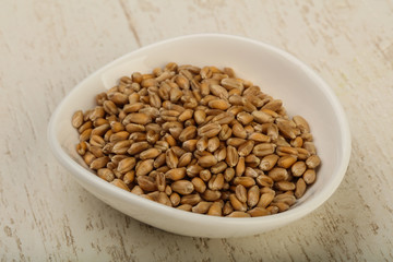 Wheat grains