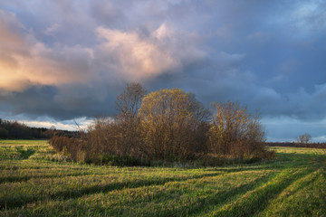 Fototapeta na wymiar harvested field at sunset