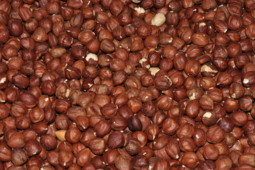 Hazelnut corylus or dried peeled Filbert