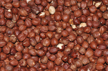 Hazelnut corylus or dried peeled Filbert