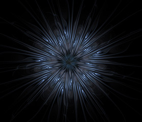 Abstract silvery blue flower on a black background