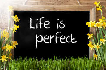 Sunny Spring Narcissus, Chalkboard, Text Life Is Perfect