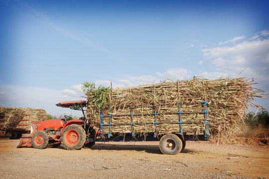 sugarcane truck with full cargo