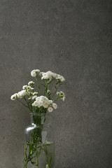 White flowers in glass vase