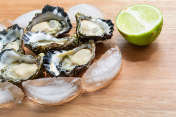Freshly shucked Sydney Rock Oyster