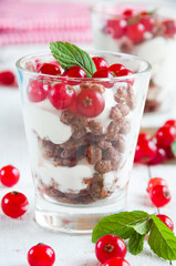 Dessert with fresh red currant and mint