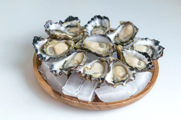 Freshly shucked Sydney Rock Oyster