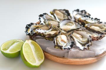 Freshly shucked Sydney Rock Oyster